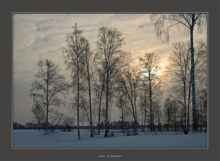 фото "Light of December" метки: пейзаж, зима, облака