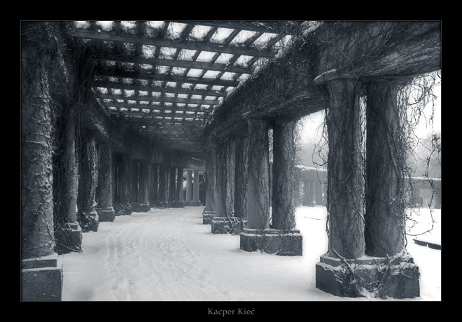 photo "pergola" tags: architecture, landscape, winter