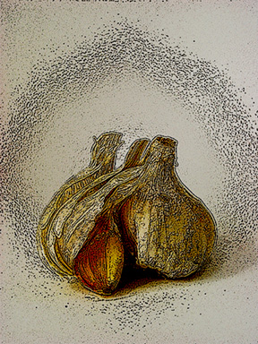 фото "Garlic" метки: макро и крупный план, фотомонтаж, 