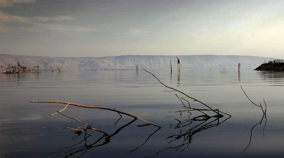 photo "DesertTwigs" tags: landscape, water