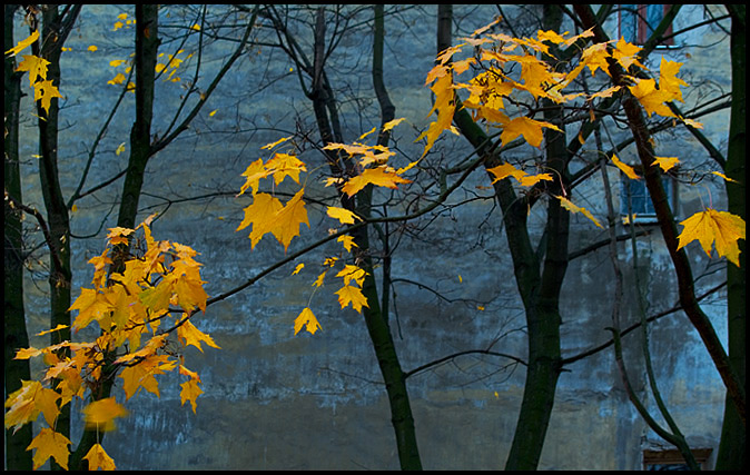 photo "Вот такая у нас осень :)" tags: landscape, architecture, autumn