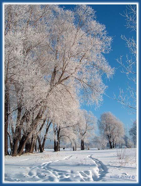 фото "Белое на голубом" метки: пейзаж, зима