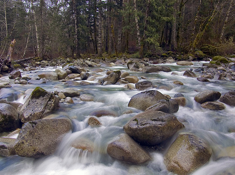 photo "peaceful" tags: landscape, forest, water