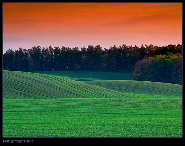 фото "kocie gory 2" метки: пейзаж, осень