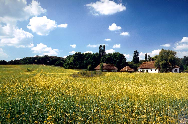 photo "the Summer Country Scape" tags: architecture, landscape, summer