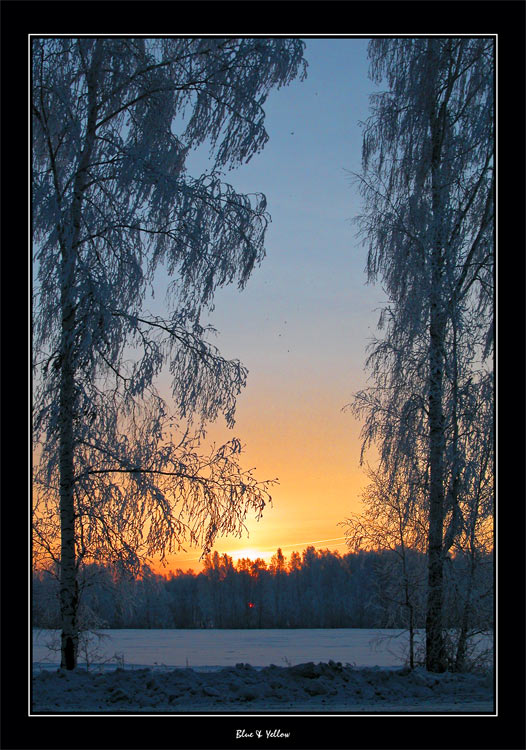 photo "Blue & Yellow" tags: landscape, sunset, winter