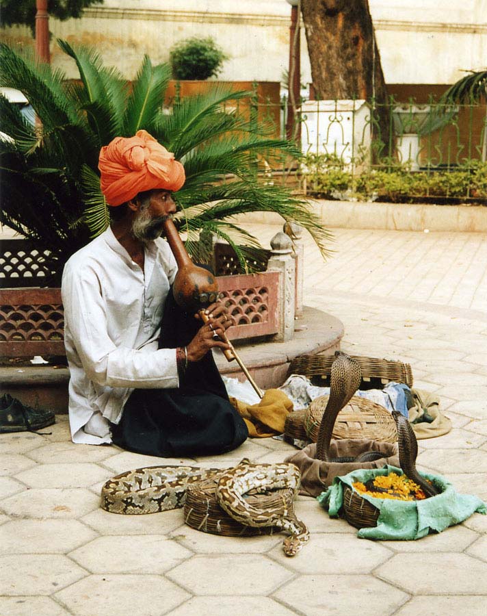 photo "The snake charmer" tags: genre, travel, Asia