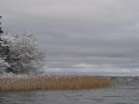 photo "Alland islands" tags: landscape, winter