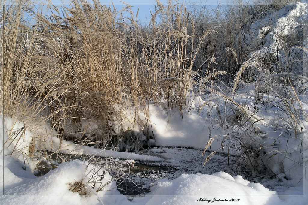 фото "Первый лёд" метки: пейзаж, природа, зима
