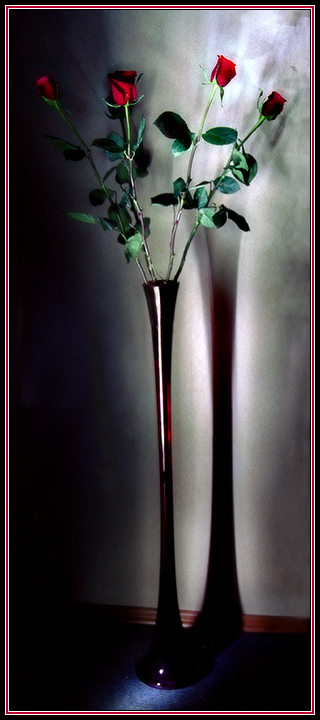 photo "Bouquet" tags: still life, 