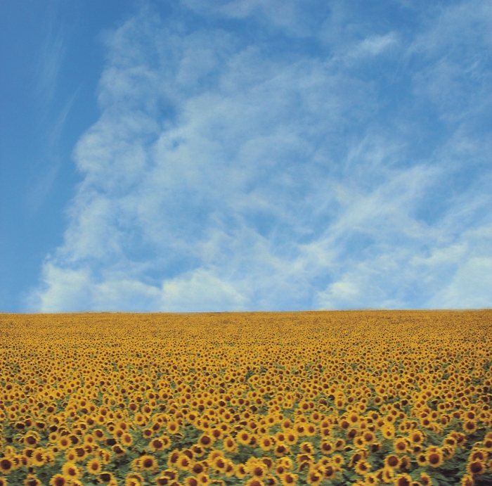 photo "breeze" tags: nature, 