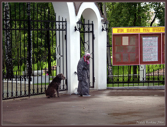 фото "Друг, ты здесь?" метки: жанр, 