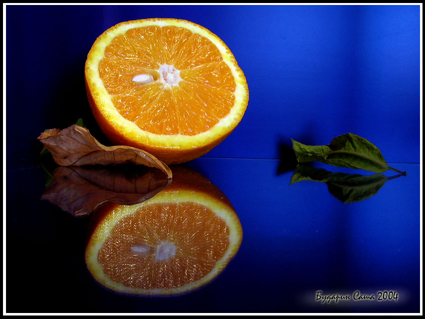 photo "The Orange." tags: still life, 