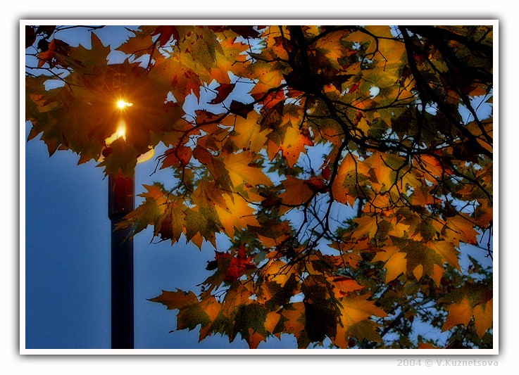 photo "**--**" tags: landscape, abstract, autumn