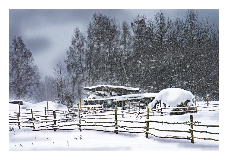 photo "Snowfall" tags: nature, 