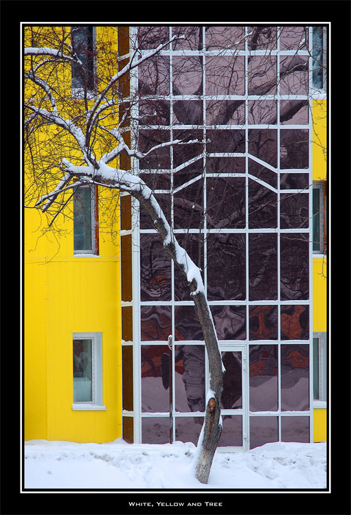 photo "White, Yellow and Tree" tags: architecture, landscape, winter