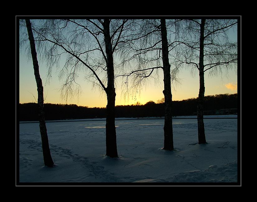 photo "Cerda de Jardin de Kuskovo..." tags: landscape, sunset, winter