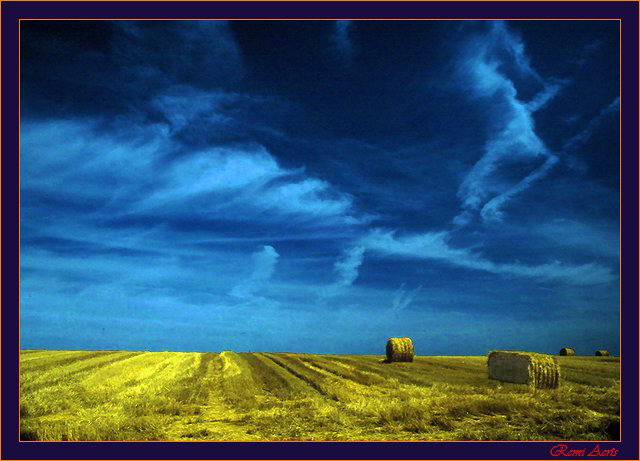 photo "flanders" tags: landscape, clouds, summer