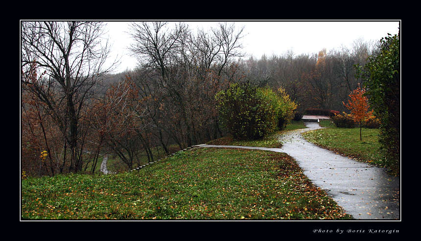 photo "Wilderness park" tags: landscape, autumn, forest