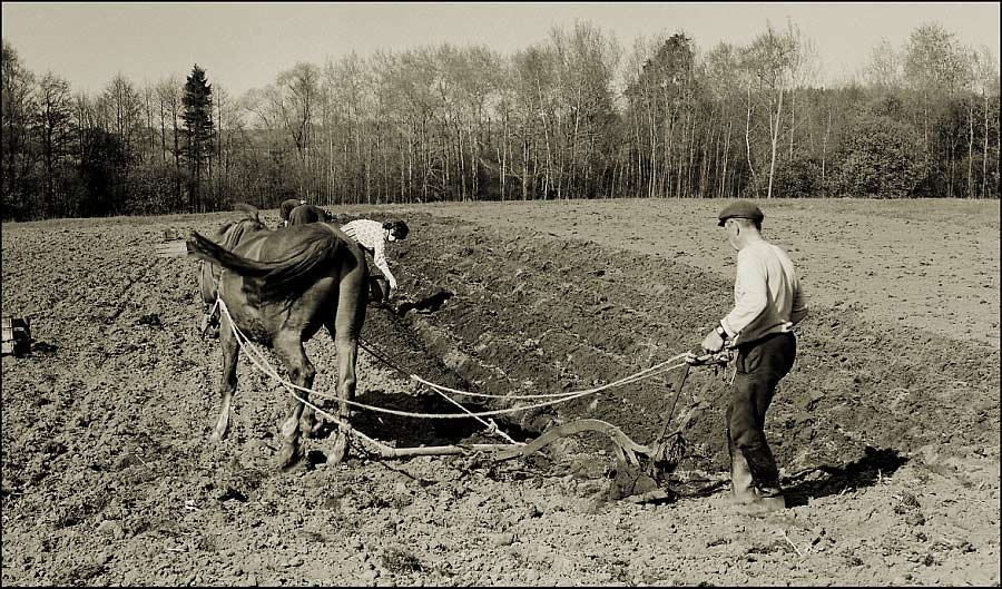 photo "COUNTRY EVERYDAY LIFES." tags: old-time, reporting, 