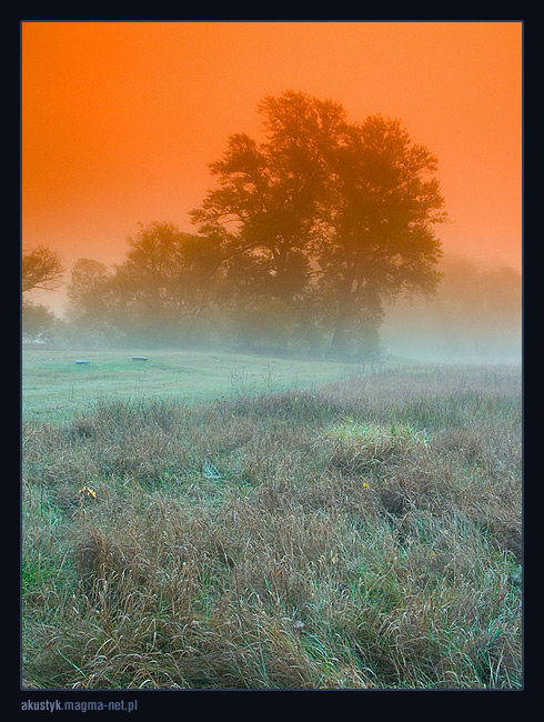 photo "fog 1" tags: landscape, autumn