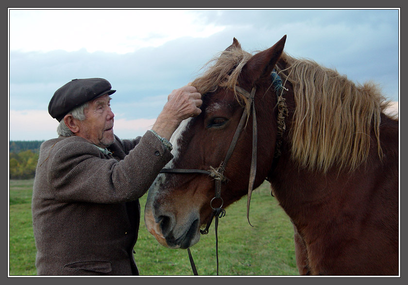 photo "Kind picture with a horse and the man" tags: genre, 