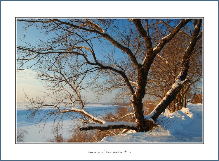 photo "Graphics of the Winter # 3" tags: misc., landscape, winter