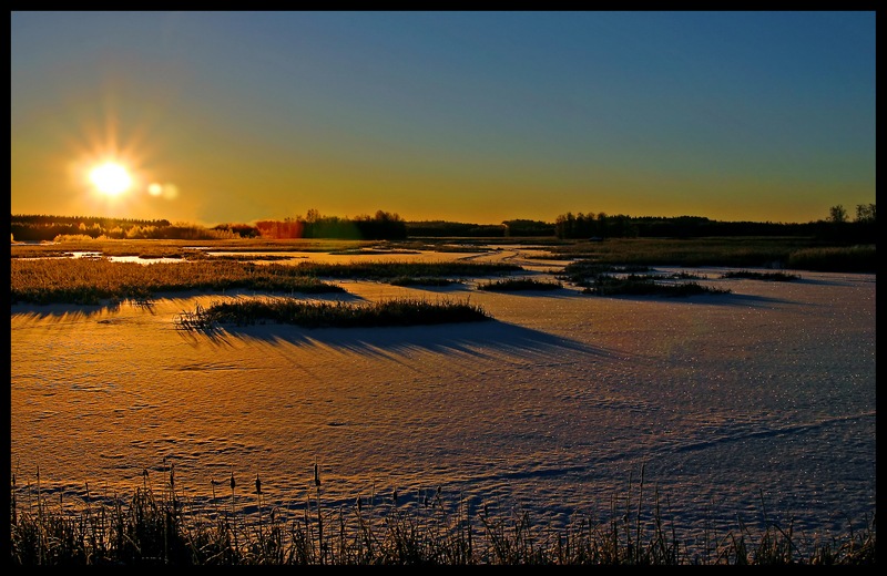 фото "Morning has broken..." метки: пейзаж, зима