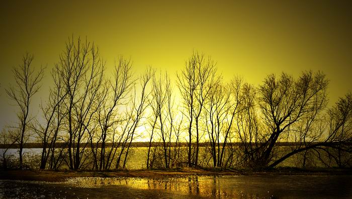 photo "golden afternoon" tags: landscape, water
