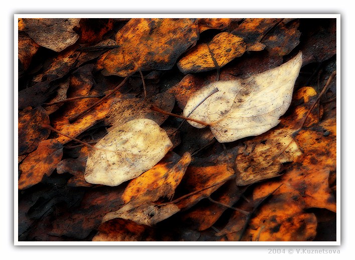 photo "*2*" tags: landscape, abstract, autumn