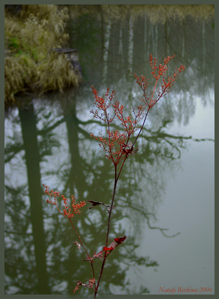 photo "Autumn" tags: landscape, macro and close-up, autumn