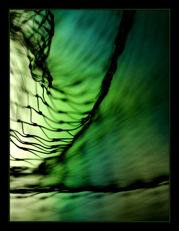 photo "Neural nets: one" tags: abstract, 