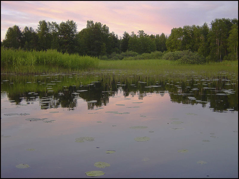 photo "Untitled photo" tags: landscape, forest, water