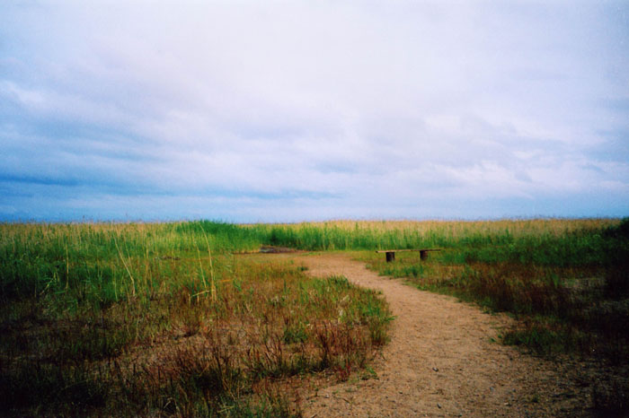 photo "*" tags: nature, landscape, summer