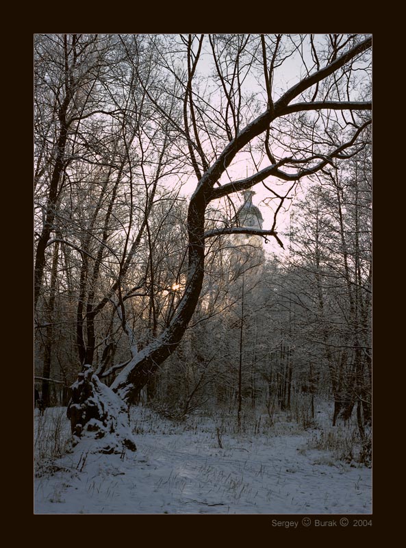 photo "Silent place" tags: landscape, forest, winter