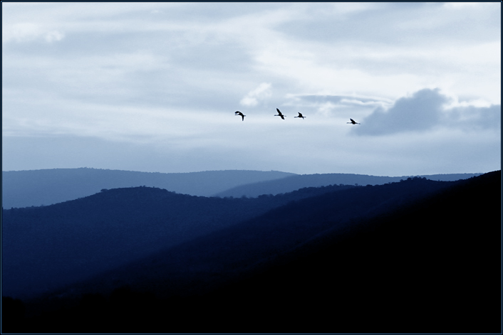 photo "blue tones free etude (#5)" tags: landscape, nature, 