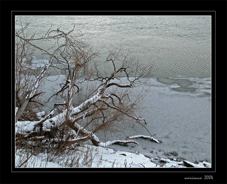 фото "cool water" метки: пейзаж, вода, осень