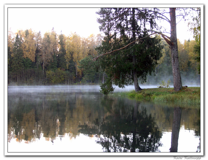 photo "Just before winter came" tags: landscape, autumn, water