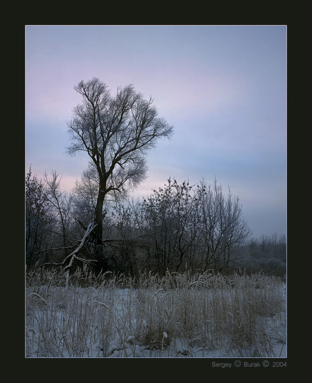 photo "Frosty morning" tags: landscape, forest, winter