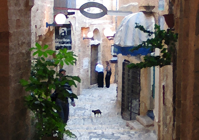 photo "THE CAT THAT WALKED BY HIMSELF" tags: genre, travel, Asia