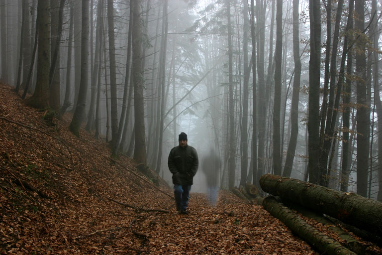 photo "with my shadow in the wood" tags: misc., 