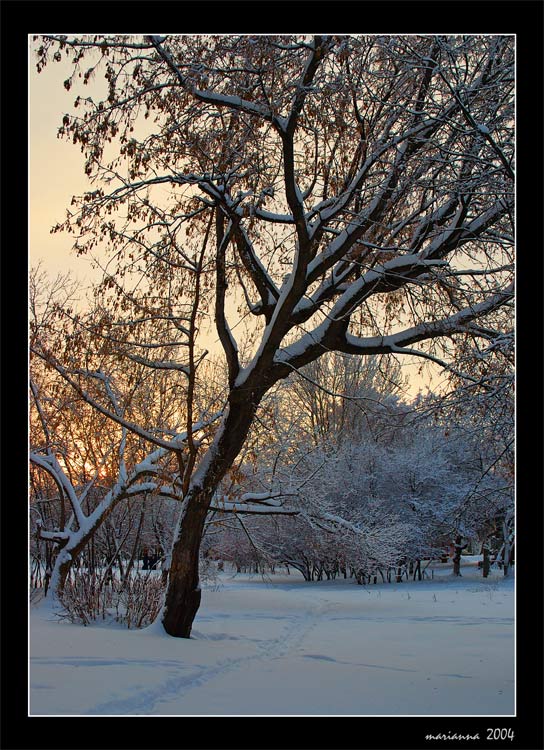 photo "December" tags: misc., landscape, winter