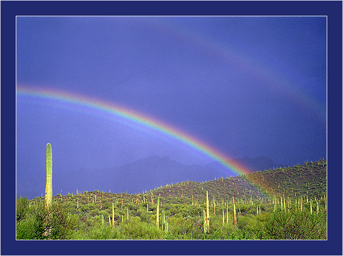 photo "Rain in а Desert" tags: travel, landscape, North America, mountains