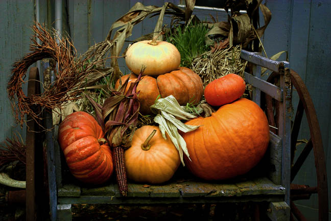 photo "Fall Still Life" tags: still life, 