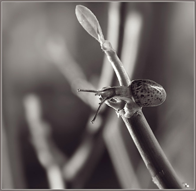 photo "Above breakage" tags: macro and close-up, 