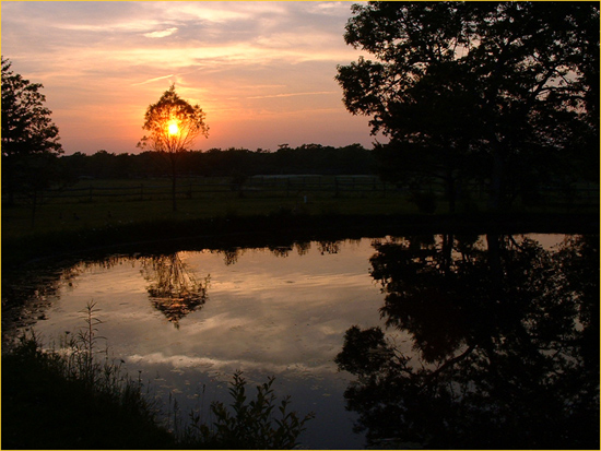 photo "...there..." tags: landscape, sunset, water