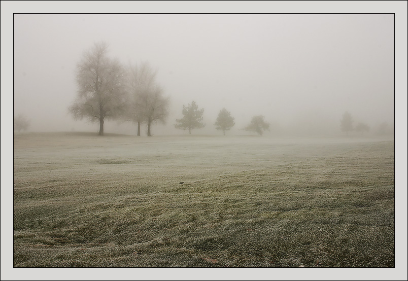 photo "Cold and Wet." tags: landscape, autumn