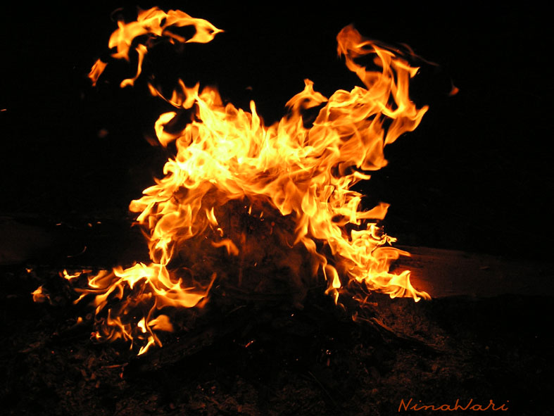 photo "The fire dance" tags: nature, 