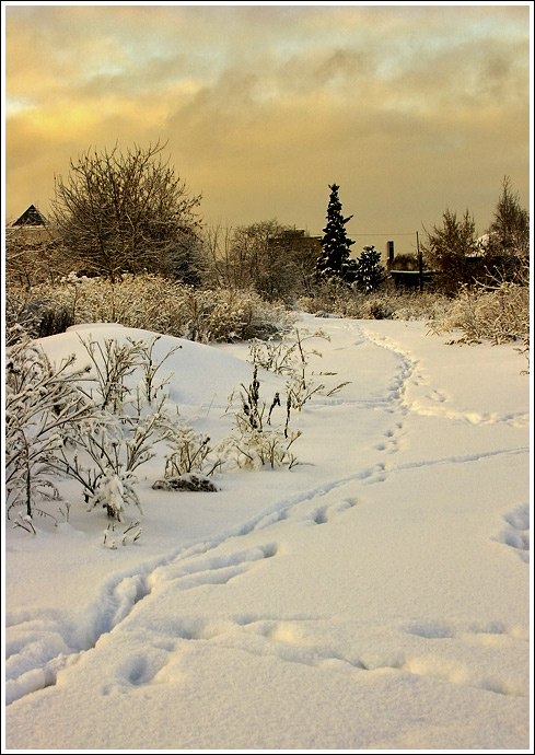 photo "city village" tags: landscape, winter