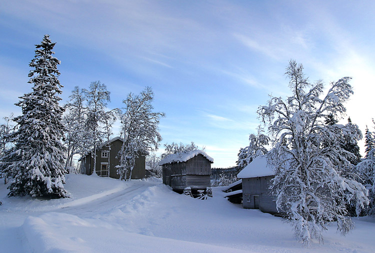 фото "Winterlandscape - 19 gr C below zero" метки: пейзаж, зима